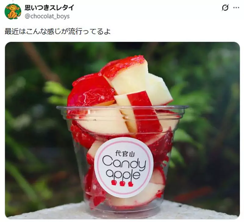 圖片12
