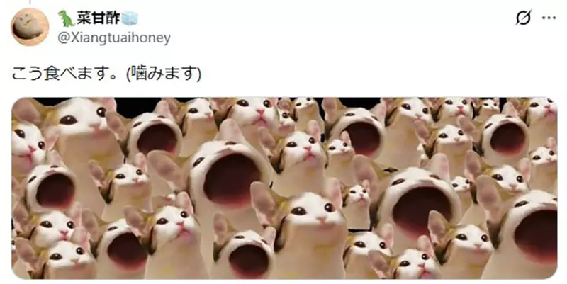 圖片10