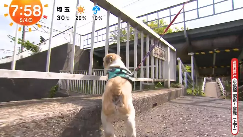 圖片5