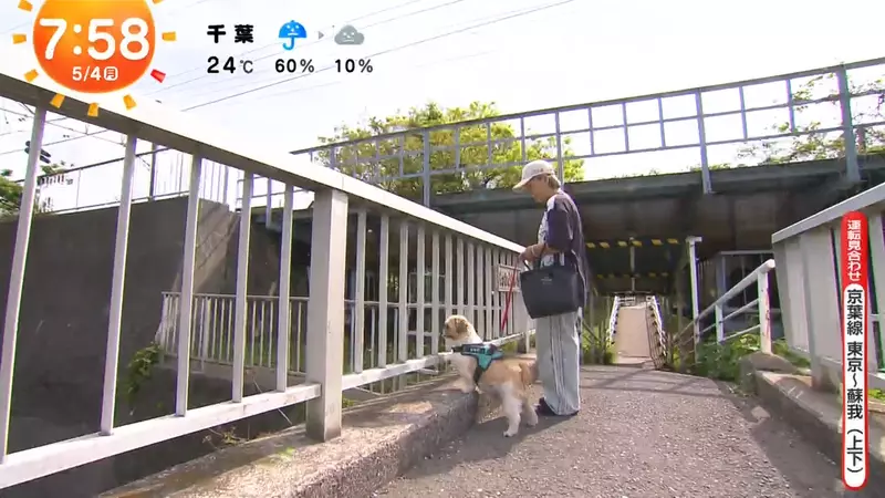 圖片6