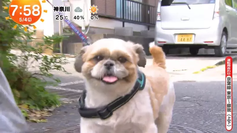 圖片4
