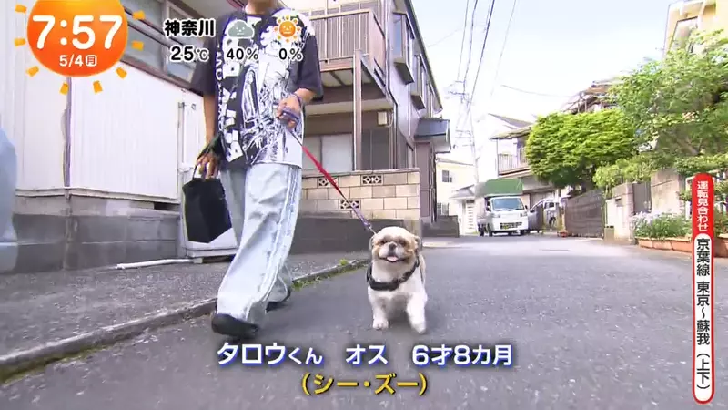 圖片3