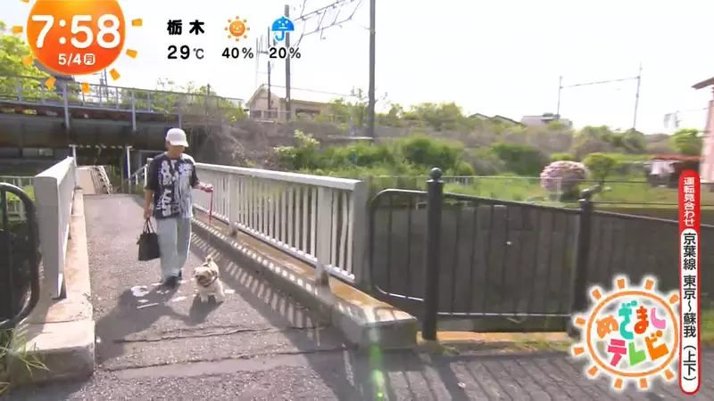 圖片13