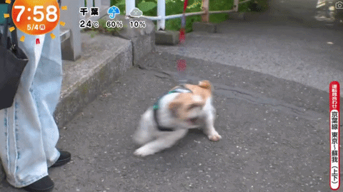 圖片9