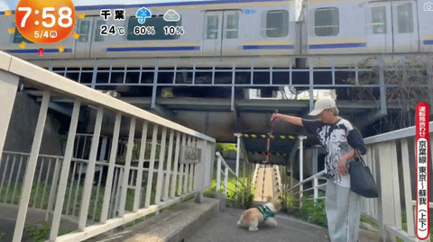 圖片11