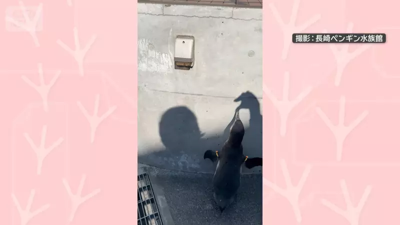 圖片5