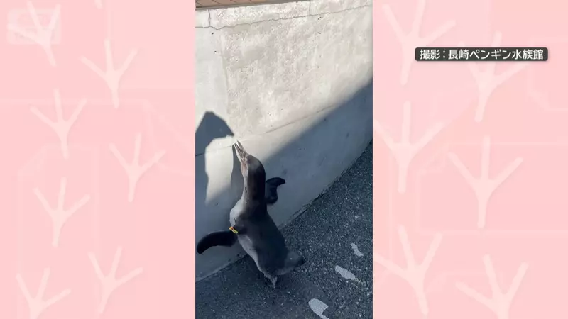 圖片3