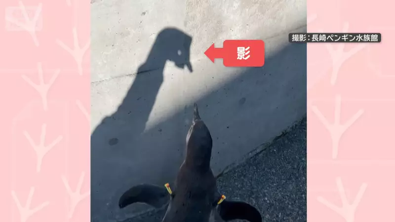 圖片2