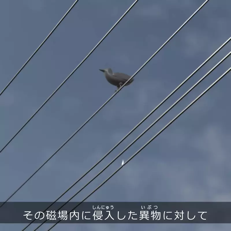 圖片5