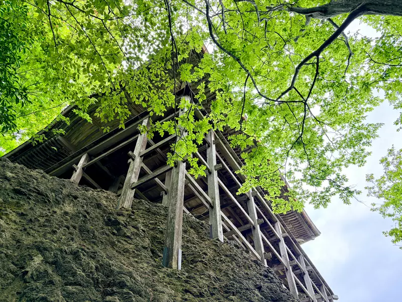 圖片5