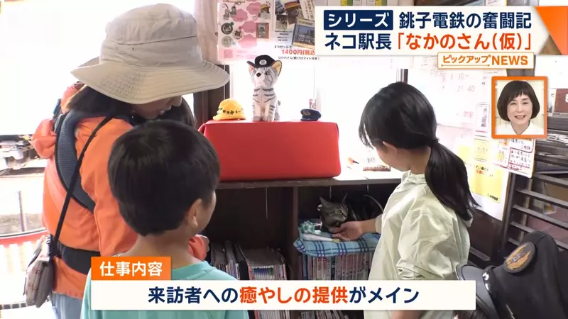 圖片15