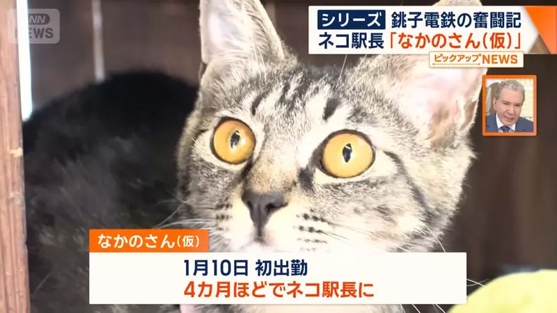 圖片13
