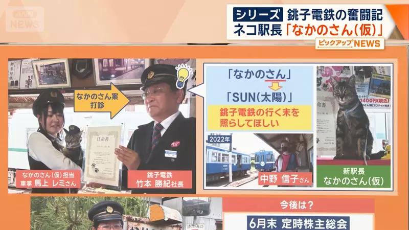 圖片11