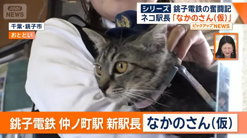 圖片1