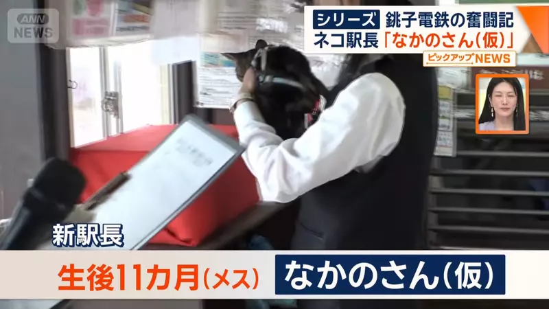 圖片7
