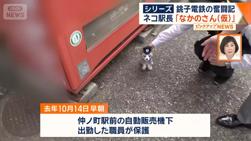 圖片10