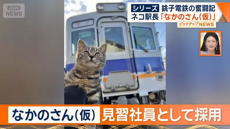 圖片12