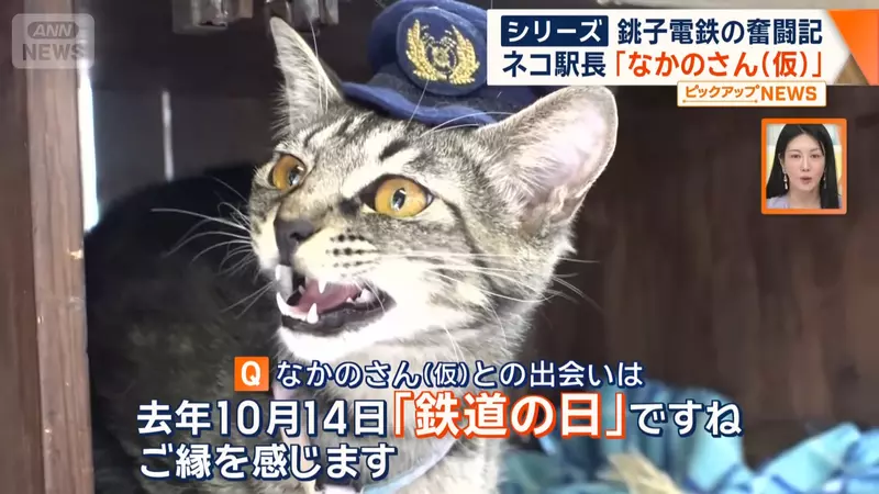 圖片9