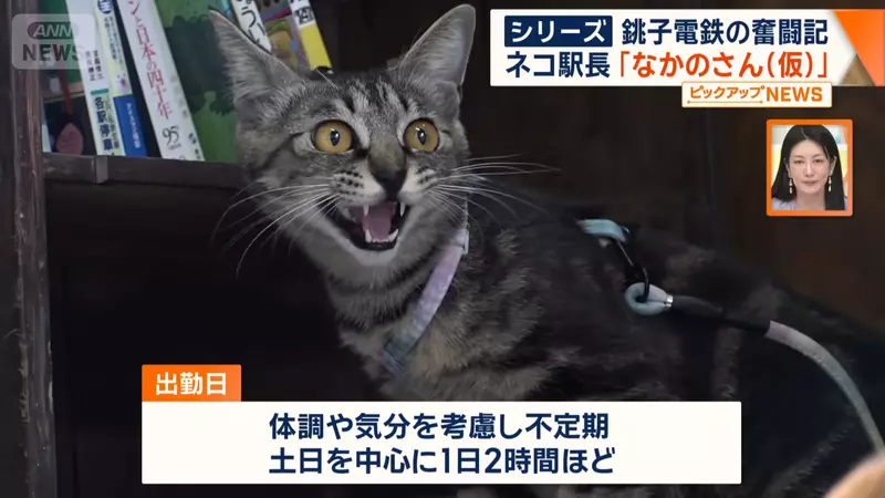圖片14