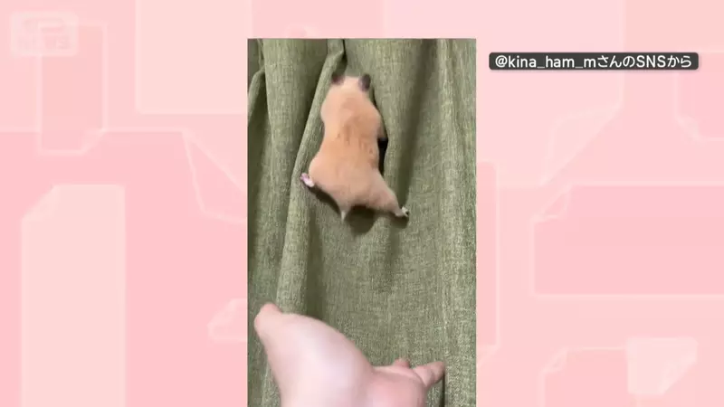 圖片4 圖片4