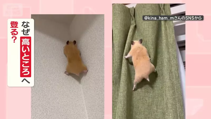 圖片5 圖片5
