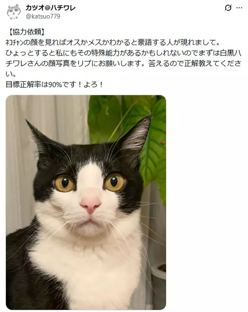 圖片2
