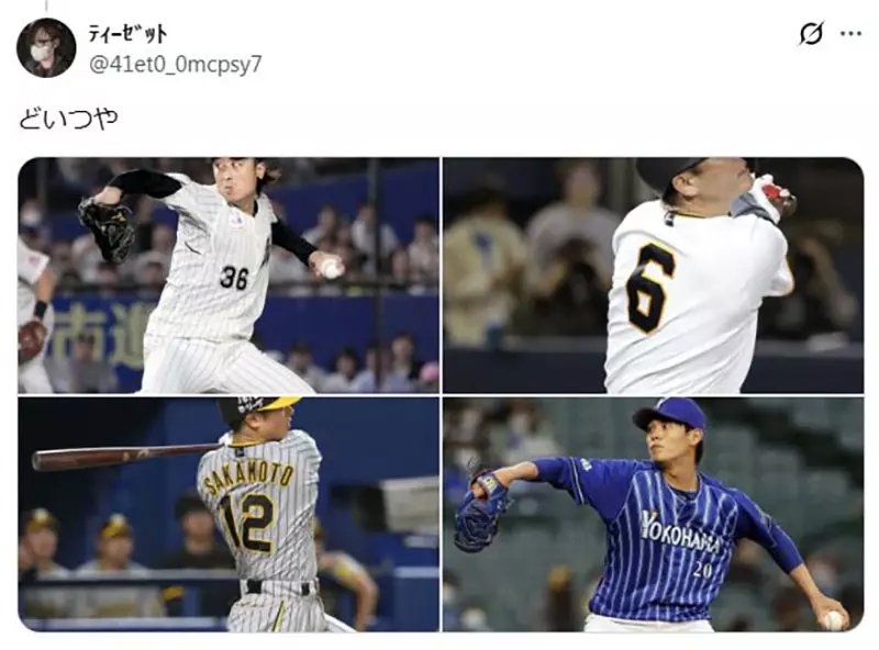 圖片9
