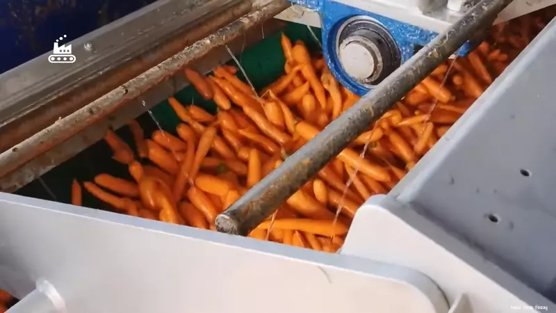 圖片8 圖片8