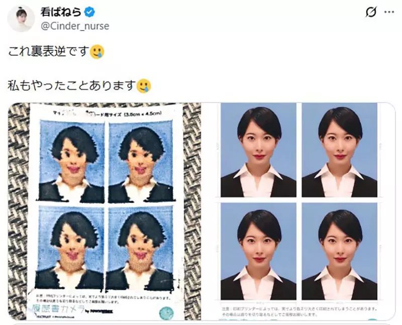 圖片6