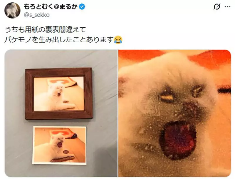 圖片11