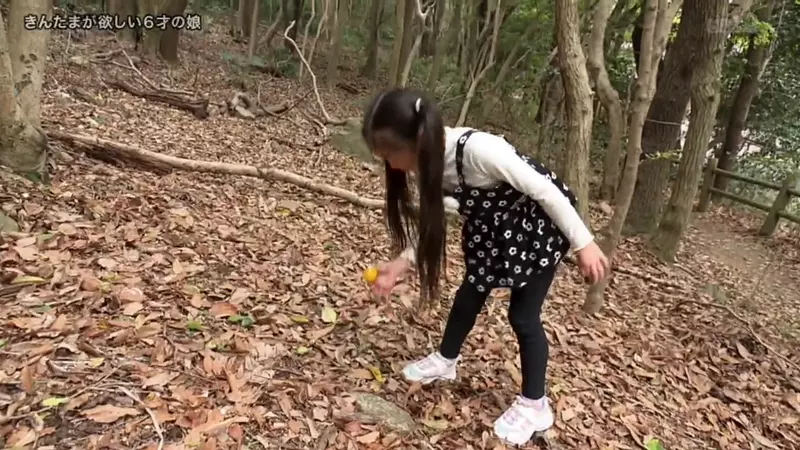 圖片29 圖片29