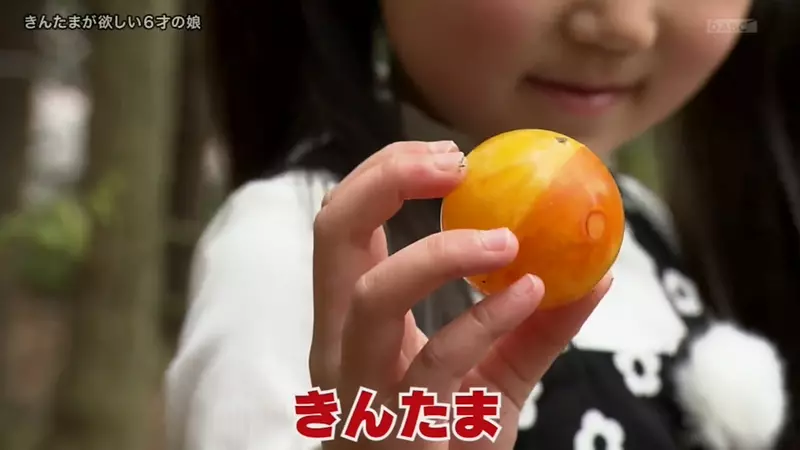 圖片31 圖片31