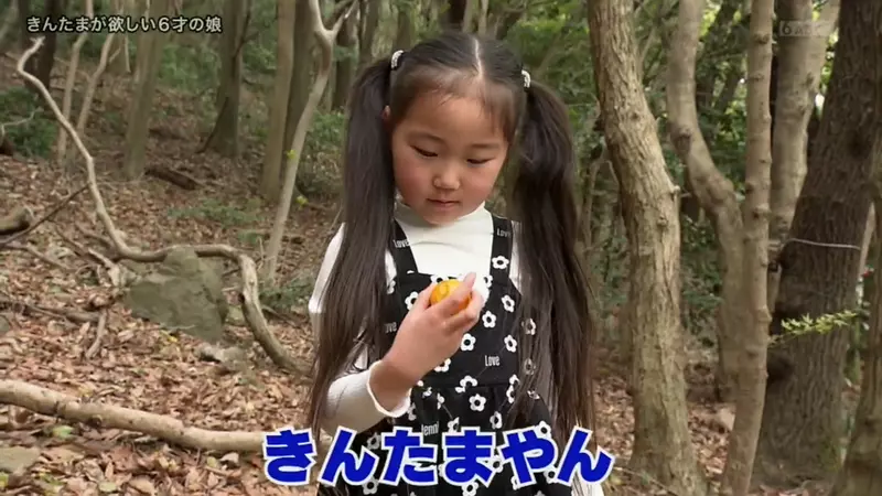 圖片30 圖片30