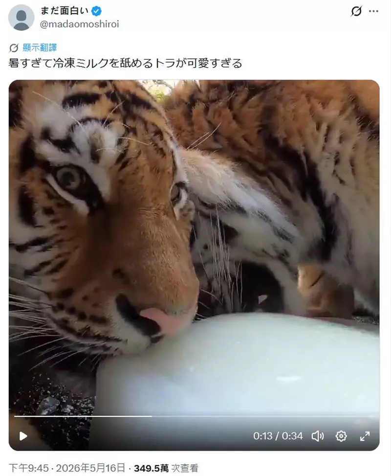 圖片4