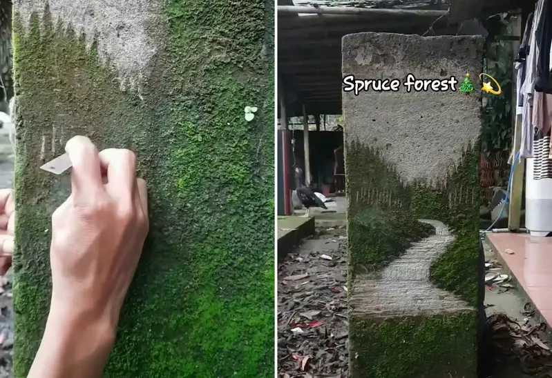 圖片1 圖片1
