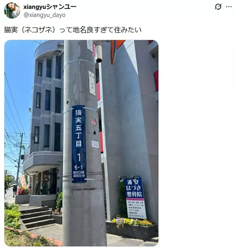 圖片2 圖片2