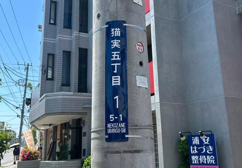 圖片1 圖片1