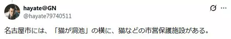 圖片12 圖片12