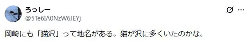 圖片13 圖片13