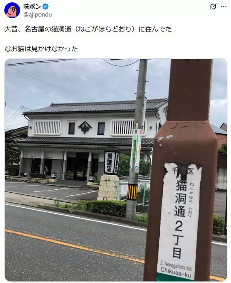 圖片11 圖片11