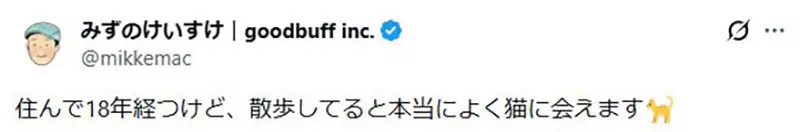 圖片7 圖片7
