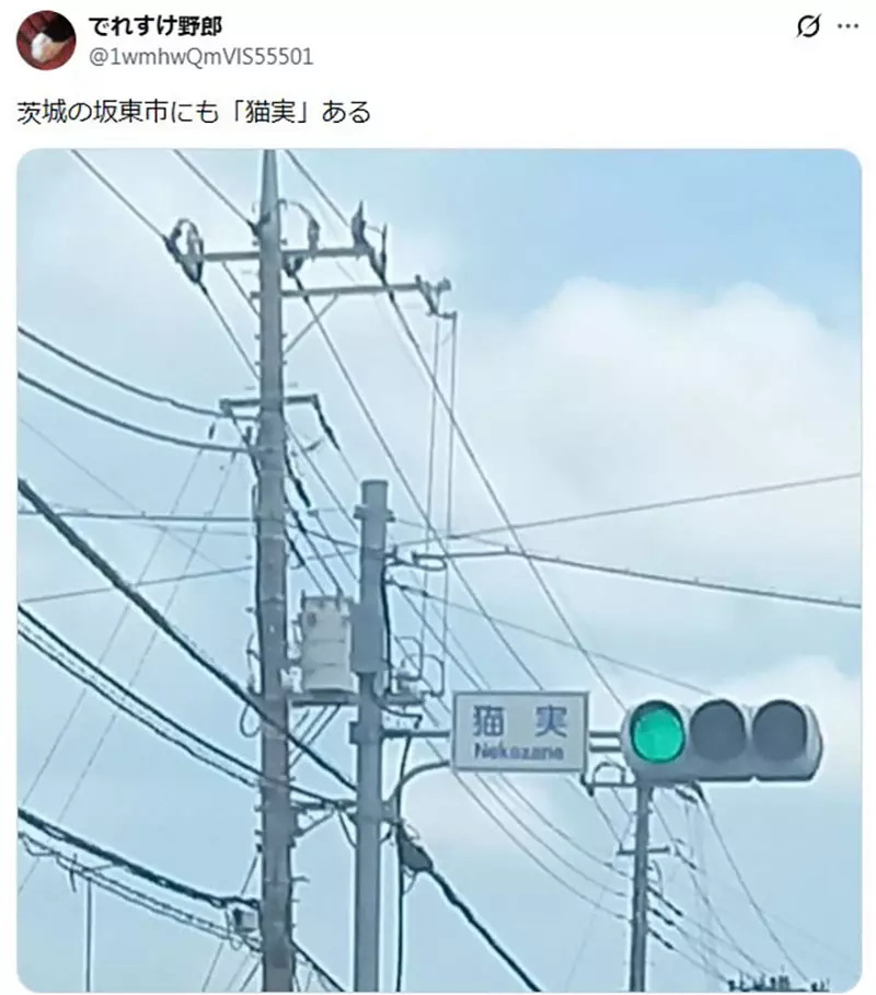 圖片14 圖片14