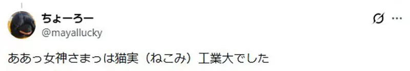 圖片8 圖片8