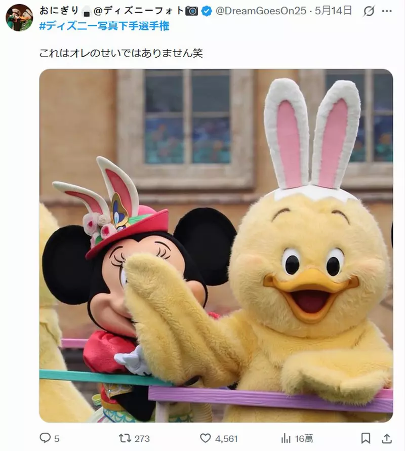 圖片17