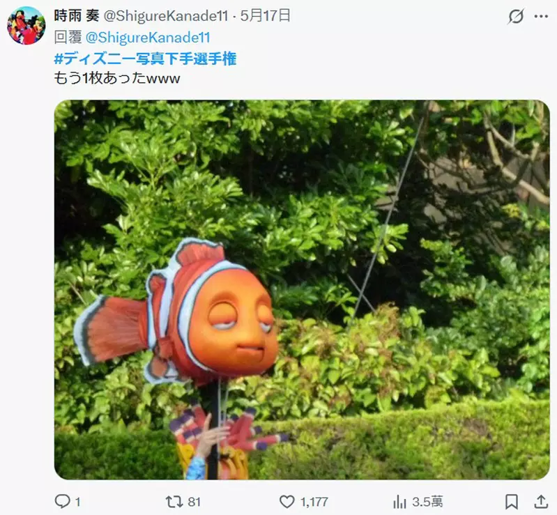圖片11