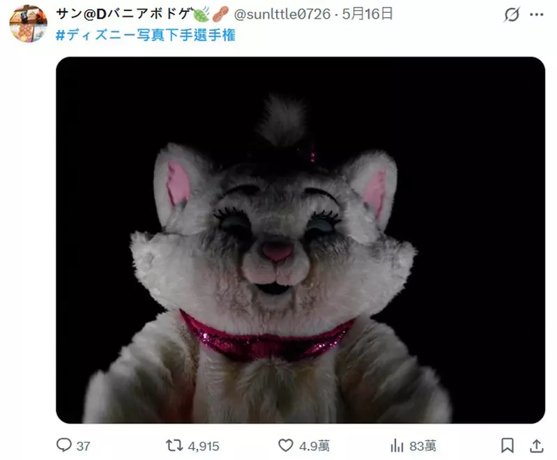 圖片14
