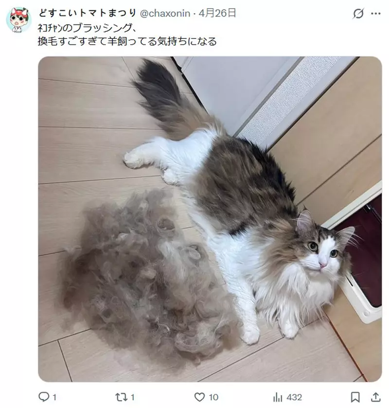 圖片6
