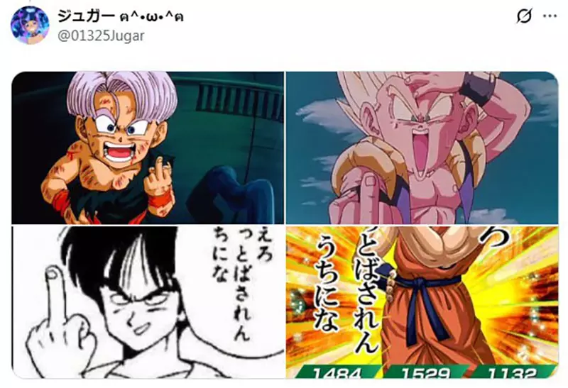 圖片15 圖片15