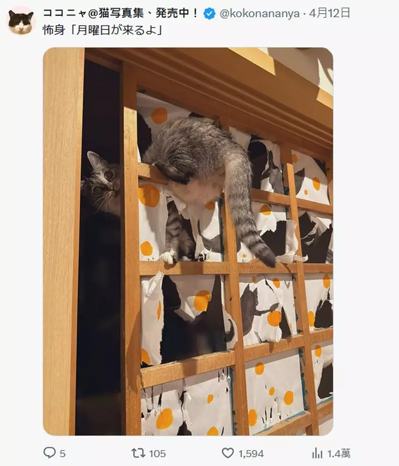 圖片5