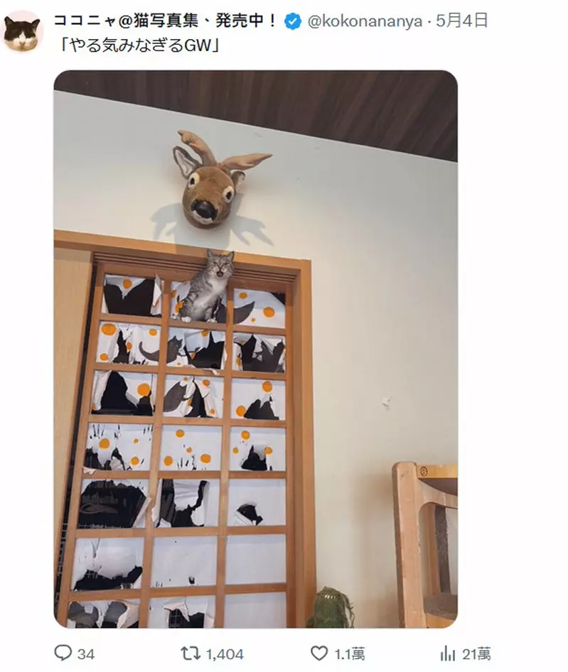 圖片3
